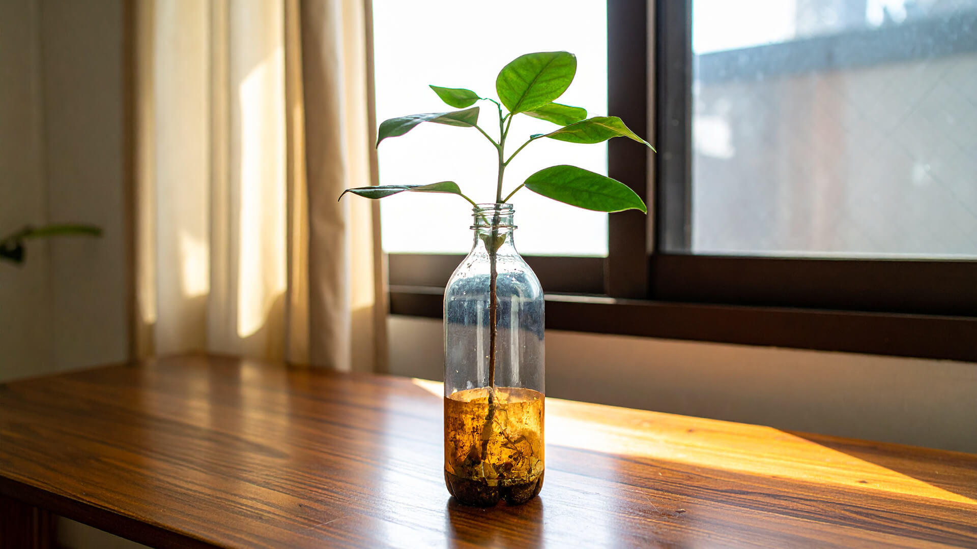 bir-copun-ikinci-hayati-ileri-donusumle