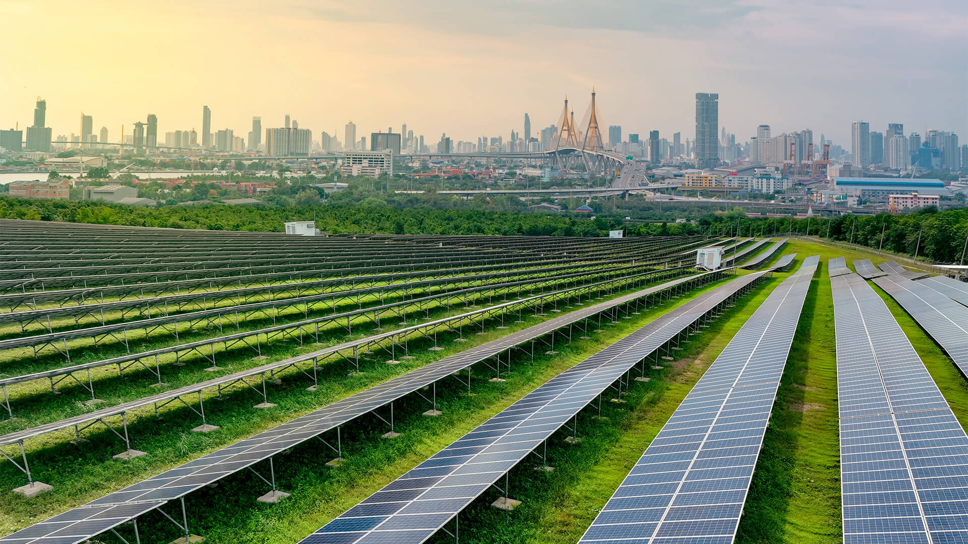 Cities of Tomorrow: Can Green Infrastructure Make Harmonious Living with Nature Possible?
