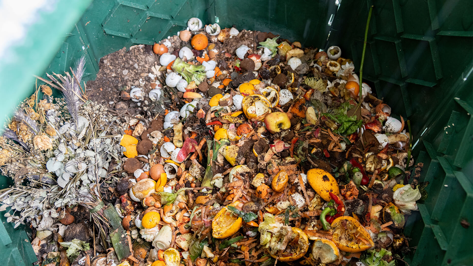 La Valorisation des Déchets Alimentaires en Énergie et l’Importance des Usines de Bioénergie