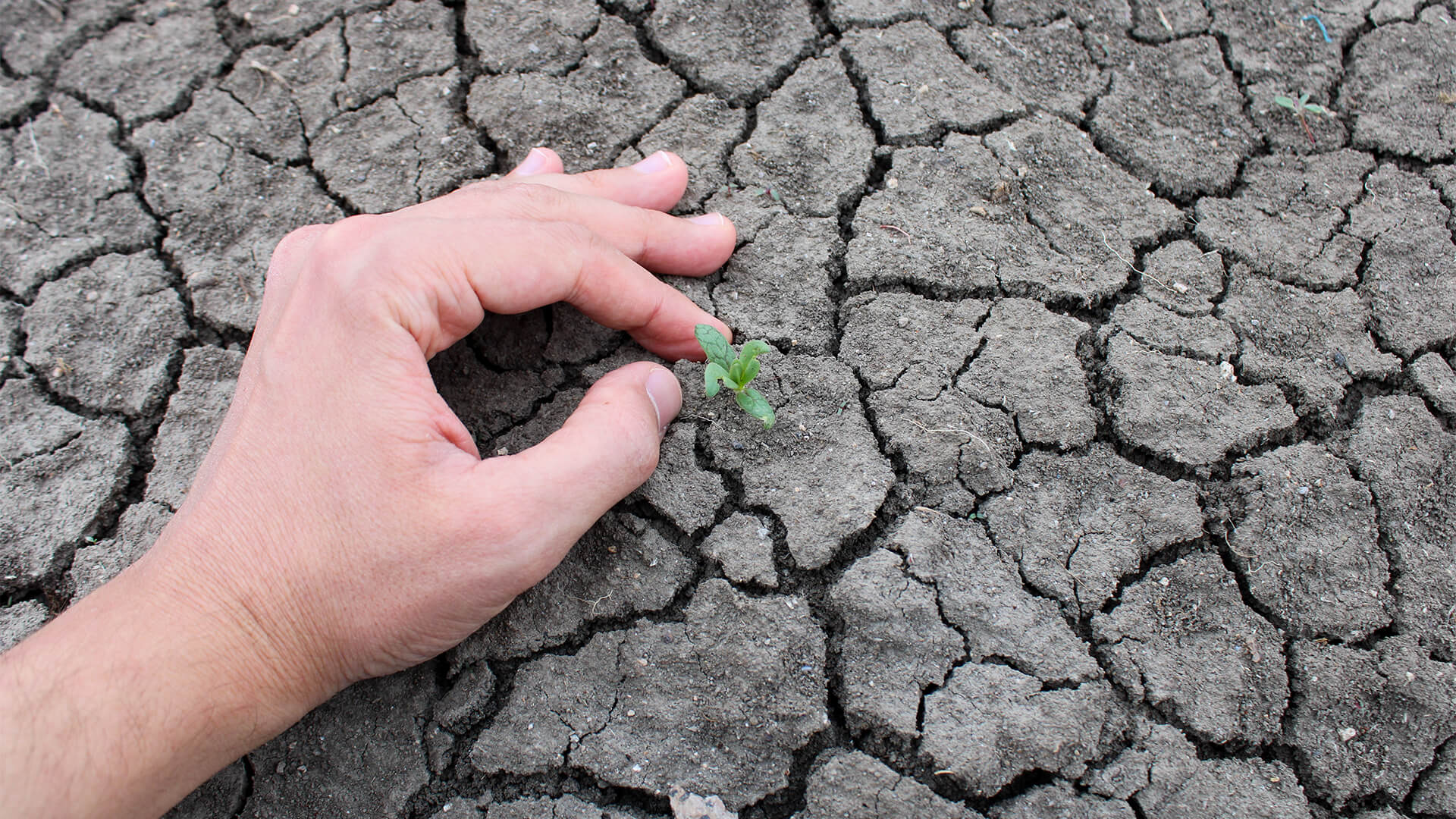 İklim Anksiyetesi Gerçek mi? Gezegen Kaygısı ile Baş Etmenin Yolları
